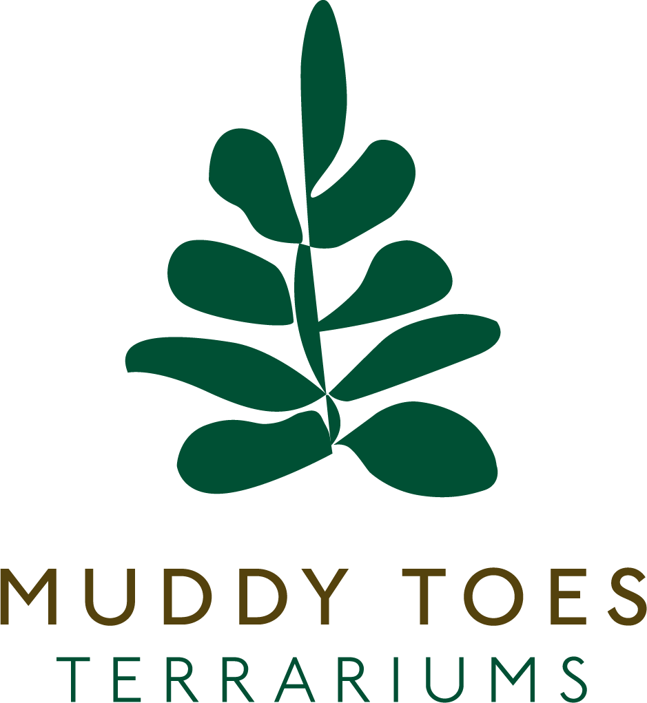 Muddy Toes Logo